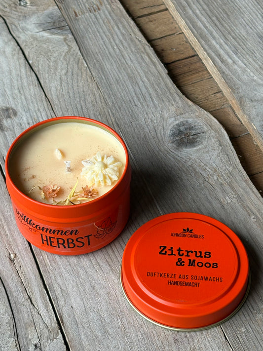 Sojakerze Zitrus+Moos